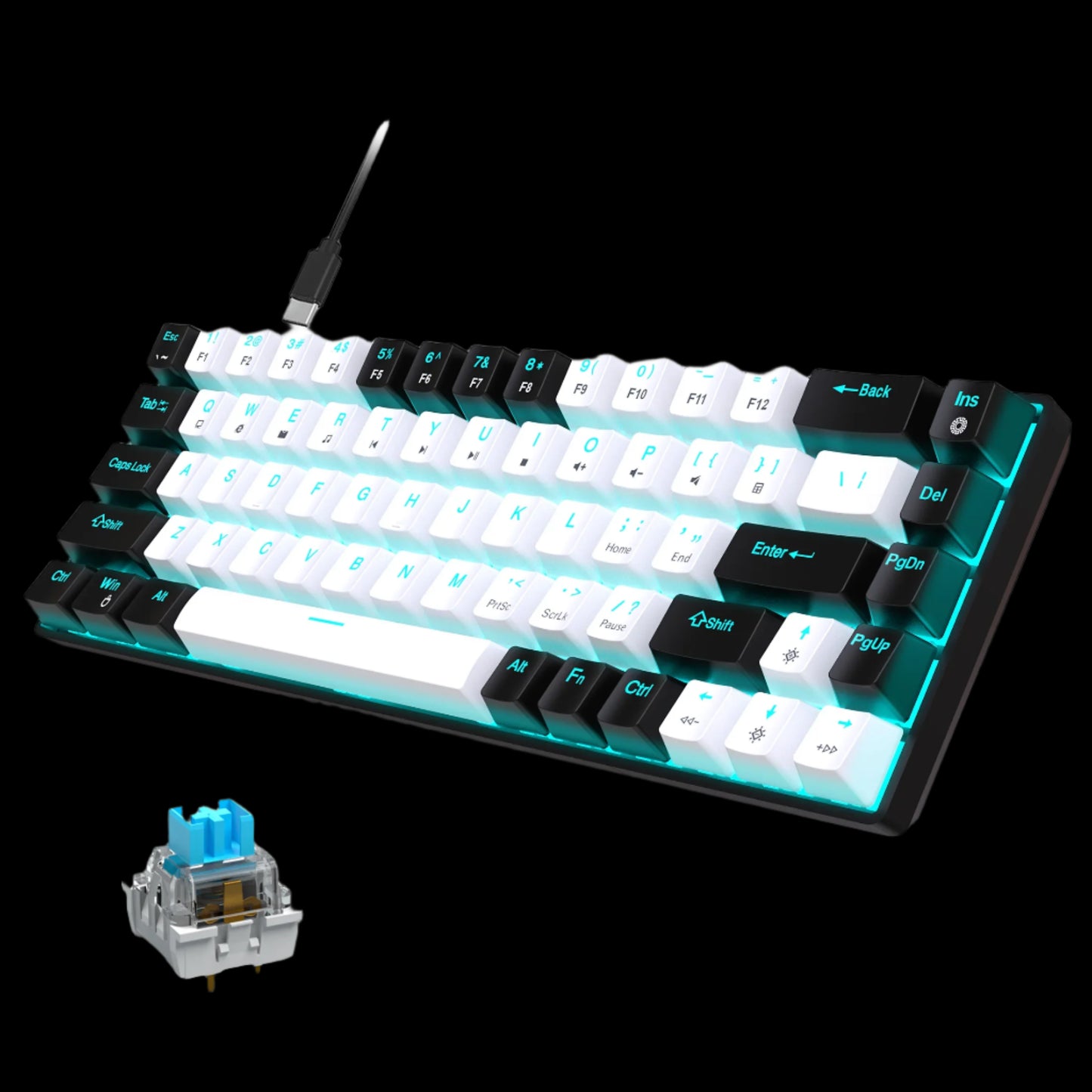 Hot Swappable Blue Switch Gaming Keyboard